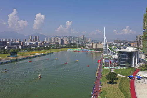 群眾比賽龍舟決賽溫州開賽，展現傳統體育魅力